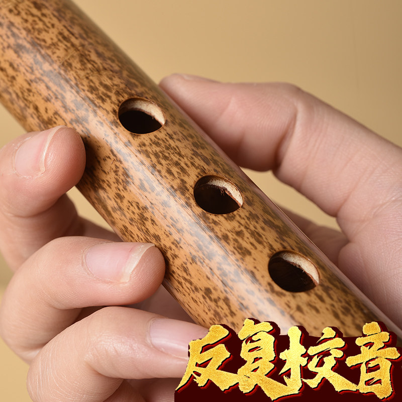 湛文兵大漆洞箫短箫乐器专业高档紫竹六古风八孔f调短萧笛潇g乐器