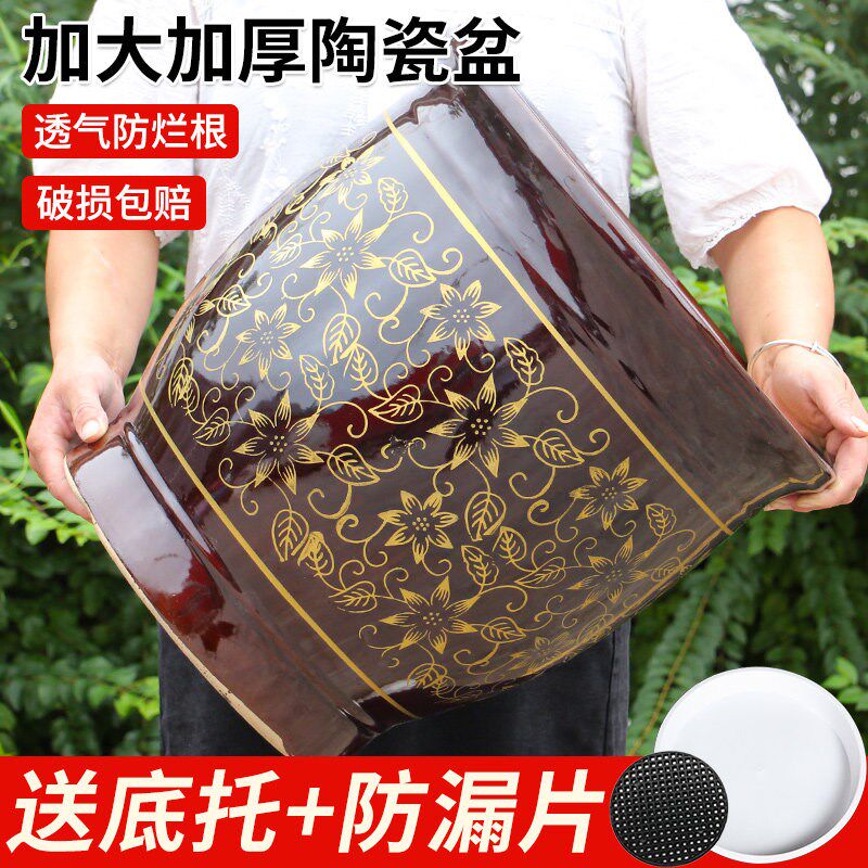 中式福字特大号陶瓷花盆发财金钱树高档客厅国风家用落地大口富贵