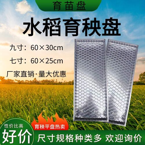 厂家直销塑料育苗盘水稻育秧盘麦苗种植盘育种盘托盘水稻机插软盘