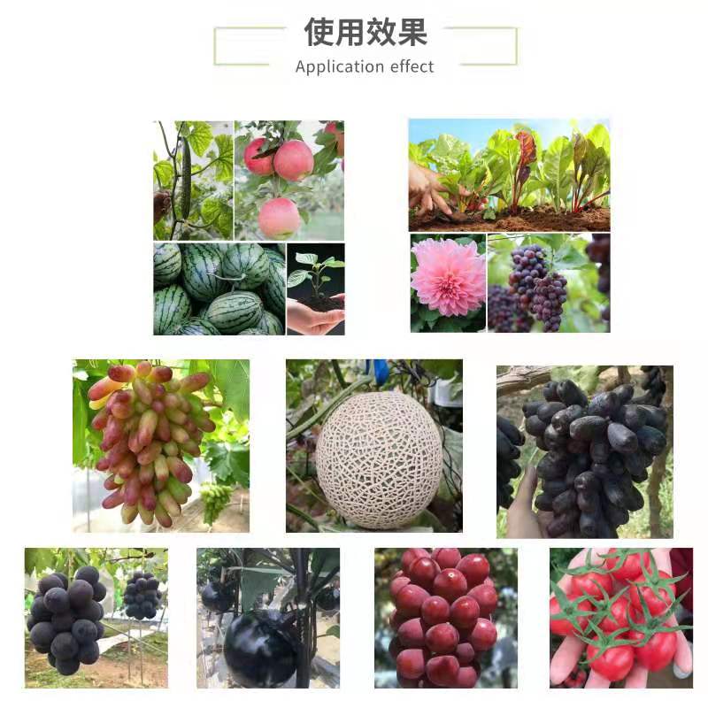 进口糖醇螯合钙液体钙叶面肥中微量肥料冲施肥蔬菜果树防裂果膨果