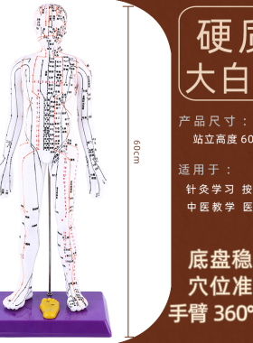 针灸人体模型 经络人体穴位模型 扎针练习小皮人人体经络穴位图