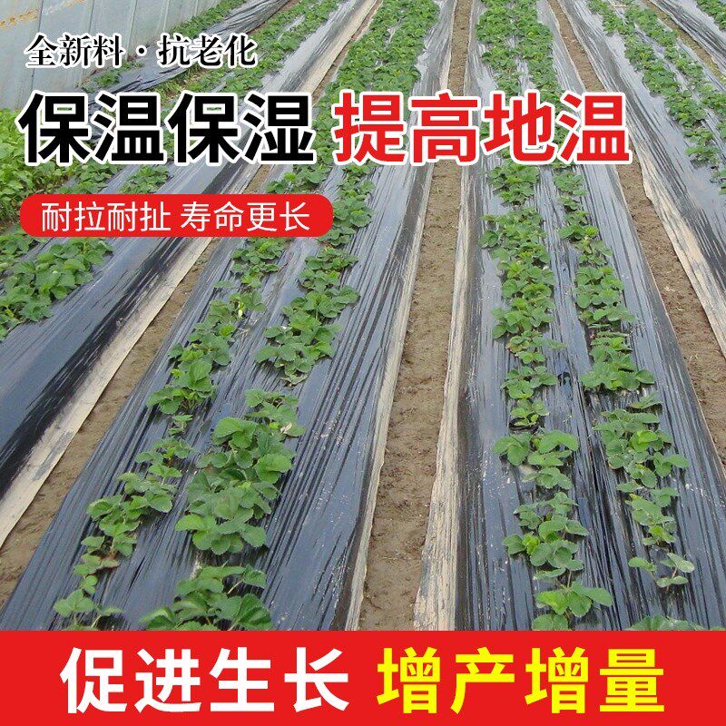 白色地膜种植薄膜保温保湿白地膜大棚塑料薄膜过冬农资农用工程膜