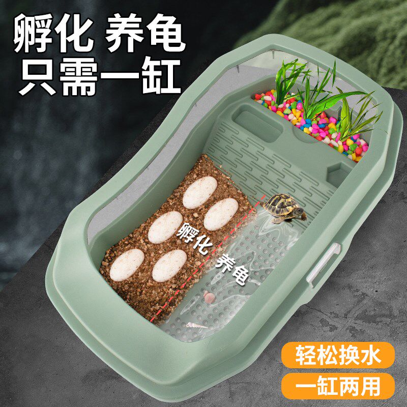 乌龟活物草龟乌龟蛋可孵化中华草龟小深水龟家养苗认主龟宠物墨龟