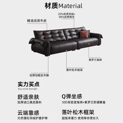 真皮黑天鹅沙发客厅2026新款现代简约直排沙发小户型头层牛皮沙发