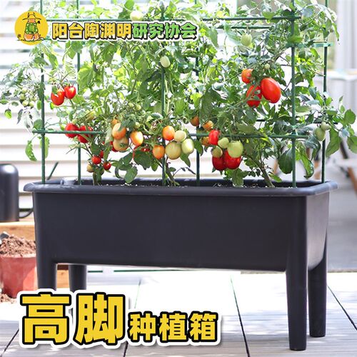 阳台种菜盆露台花箱高脚花盆种植箱种番茄黄瓜南瓜草莓月季爬藤架