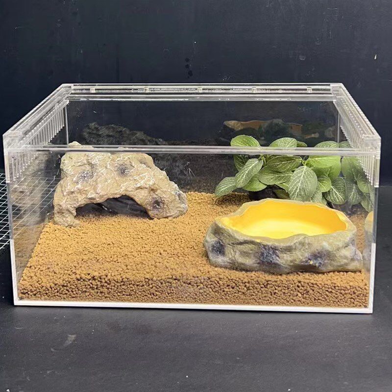 爬宠爬虫角蛙亚克力饲养箱饲养套装30x20x15cm守宫蜥蜴蝎子饲养盒
