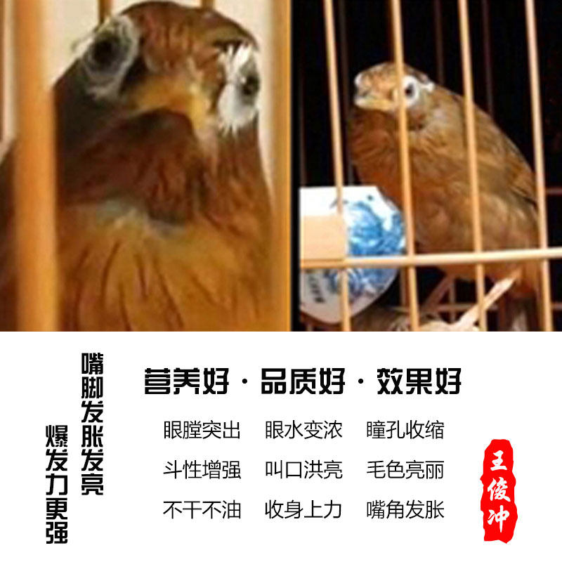 王俊冲 手工画眉鸟食饲料 提性壮膘料 打鸟料斗鸟料打彩专用鸟粮