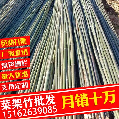 小竹子细竹竿菜园搭架户外篱笆豆角黄瓜旗杆支架爬藤竹竿菜架竹竿
