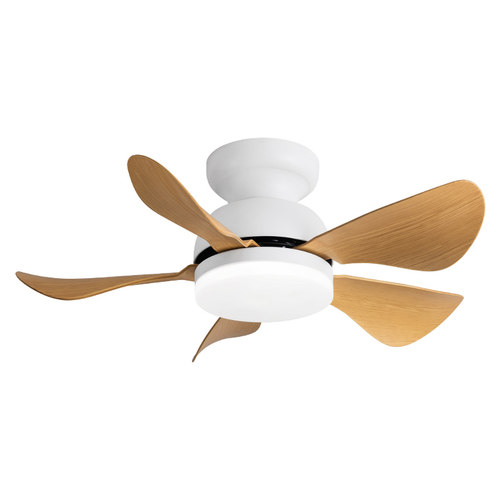 风扇灯吊扇灯餐厅2020年新款卧室静音超薄吸顶儿童房变频吊顶一体