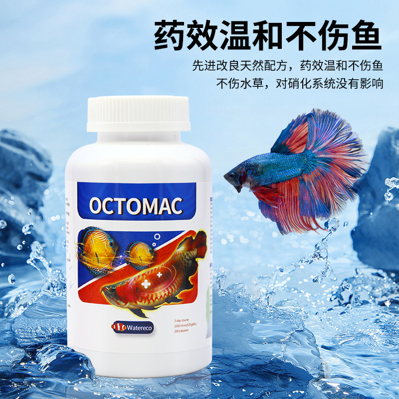 Watereco大白片内寄头洞凸眼病肠炎腹水龙鱼金鱼罗汉观赏鱼用