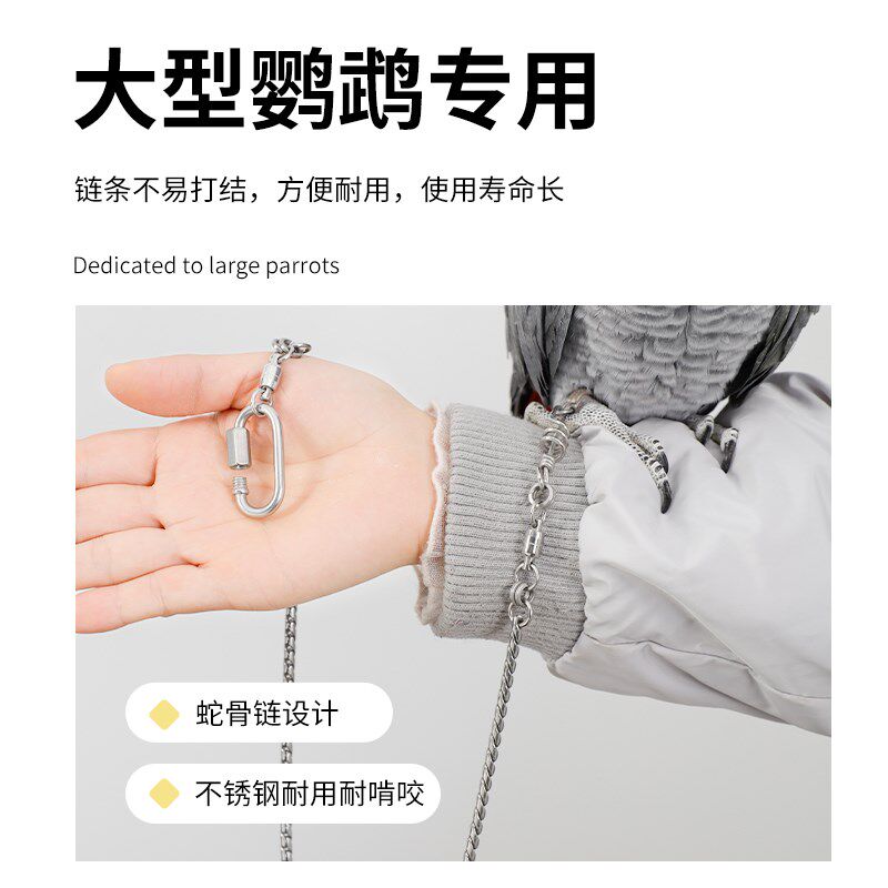 中大型金刚灰鹦鹉专用不锈钢脚链 防脱扣蛇骨链设计 可刻字专用脚