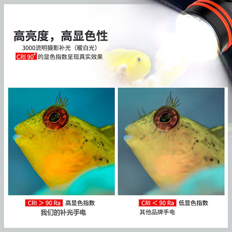 潜水补光灯3000流明散光专业水下摄影适用手机防水壳套装拍摄支架