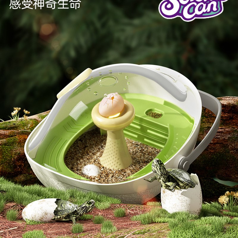 乌龟蛋可孵化成长仓活物爬台晒台专用乌龟缸宠物饲养箱小龟别墅盒