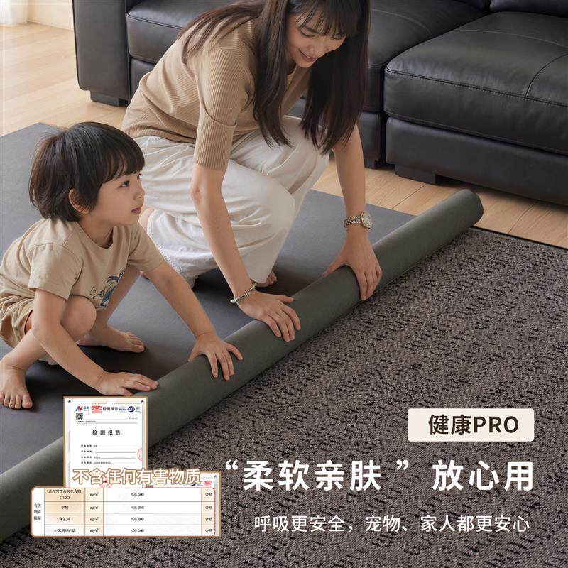 可拆洗地毯客厅现代轻奢高级感2026新款免洗可擦双层可拆卸可机洗