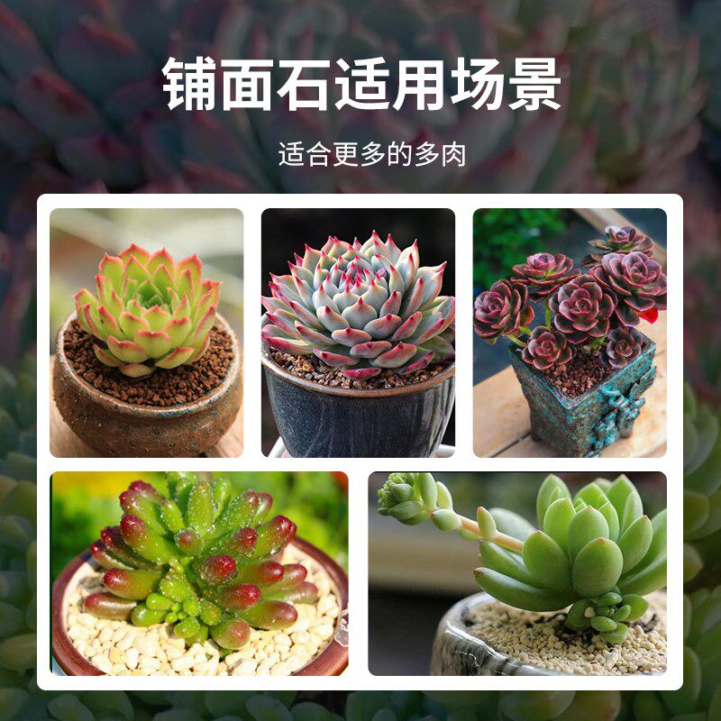 铺面石多肉植物盆栽通用颗粒拌土垫底火山岩绿沸石麦饭石陶粒颗粒