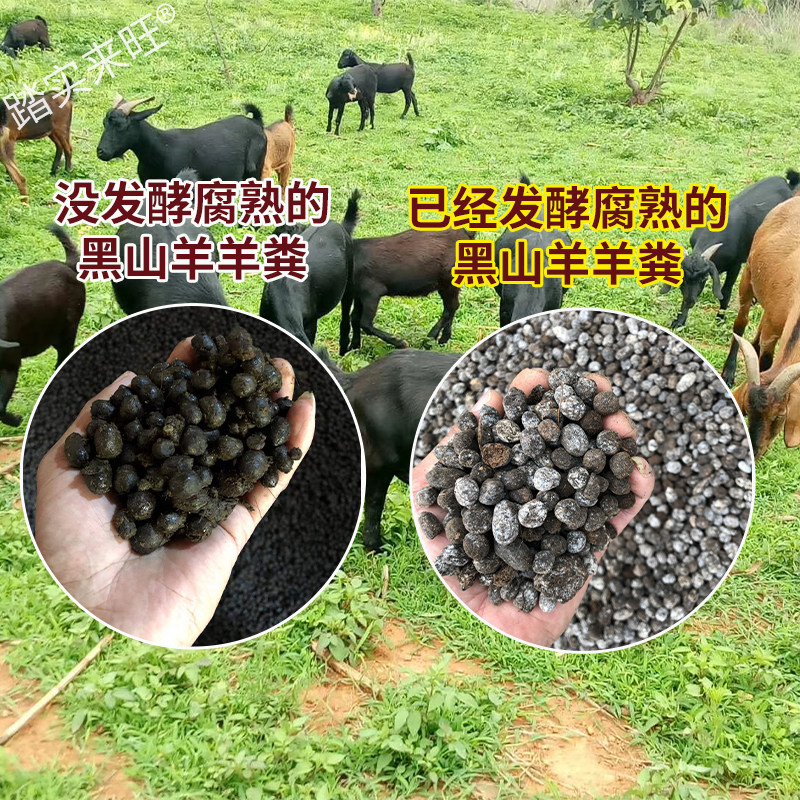 云南黑山羊纯羊粪发酵腐熟干羊粪兰花蔬菜花卉有机肥料羊粪颗粒蛋