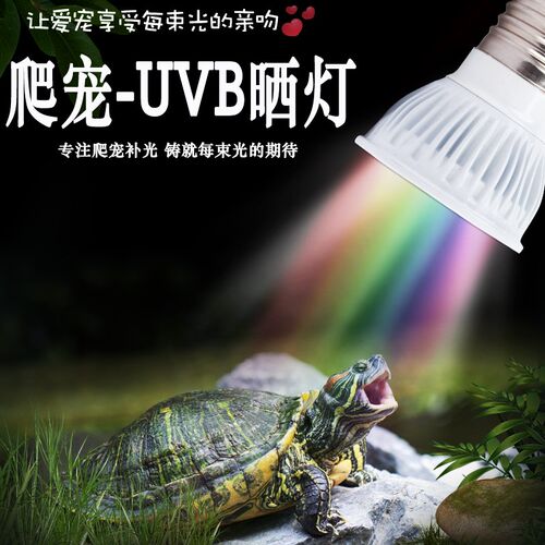 乌龟灯晒背灯UVB灯晒龟灯全光谱日落黄昏色灯UVA灯养龟灯龟缸灯