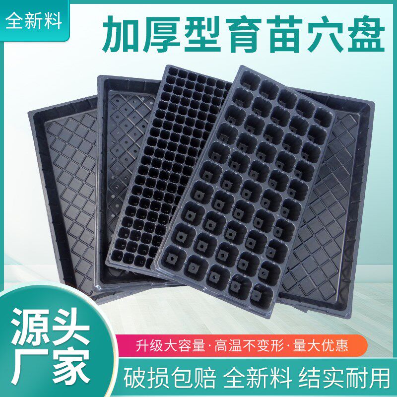 穴盘加厚育苗盆苗木多肉育苗箱林木穴盘黑色蔬菜苗盘营养钵育苗杯
