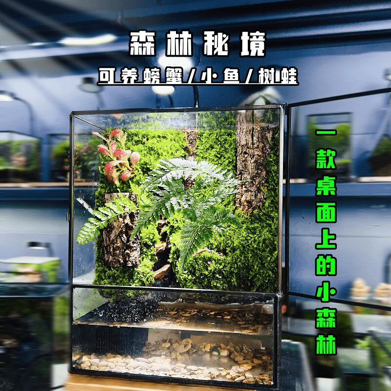 台藓微景观生态雨林缸造景办公桌面植物盆景生态瓶成品缸绿植盆栽