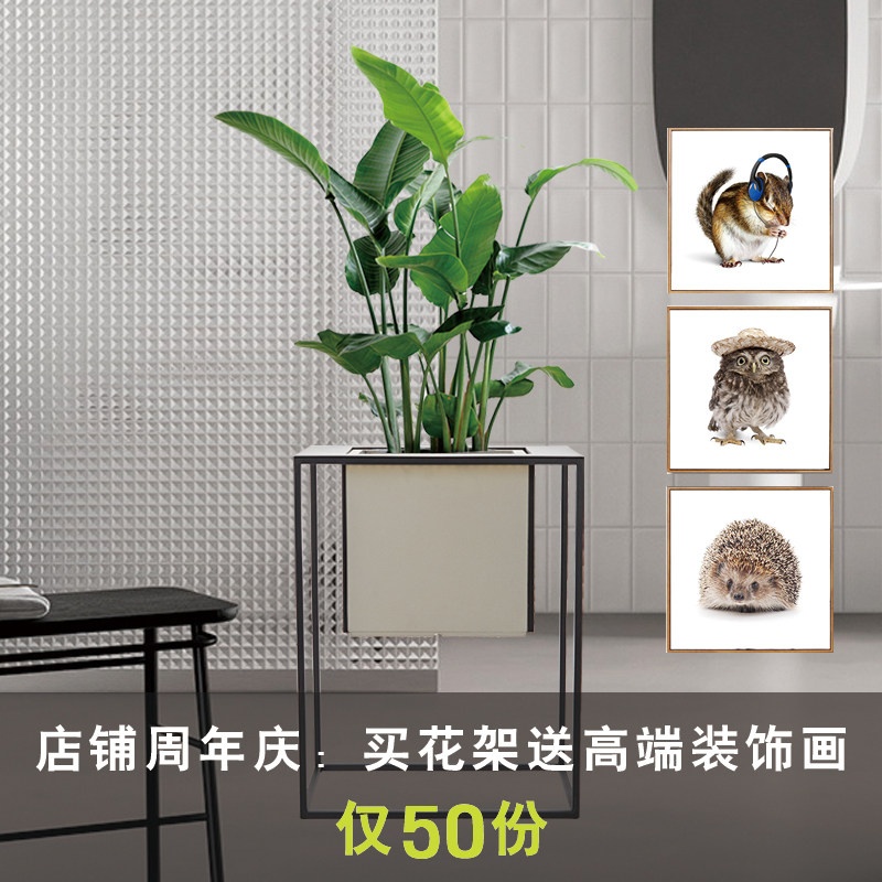 轻奢创意花盆花架北欧简约客厅网红落地大室内个性装饰虎皮兰水泥