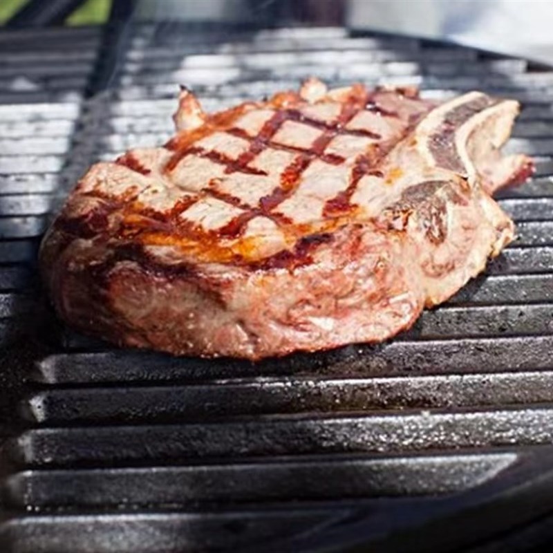 BBQ铸铁烧烤架 烧烤炉取暖炉桌炉用 耐火圆形烤网碳架篦子 烤牛排