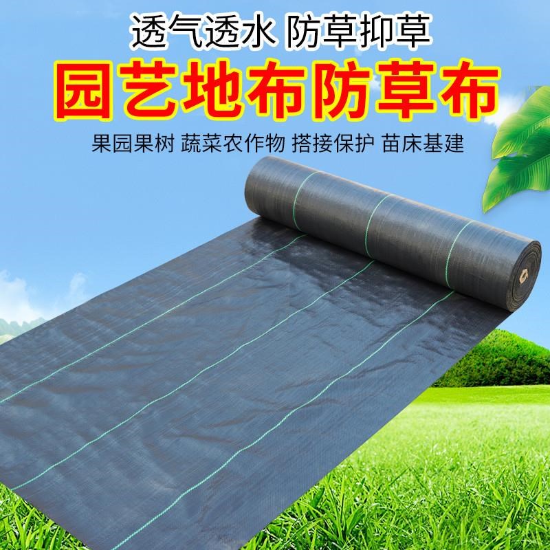 防草布除草布抗老化农用果树果园耐用地布地膜地钉盖草布打孔透水