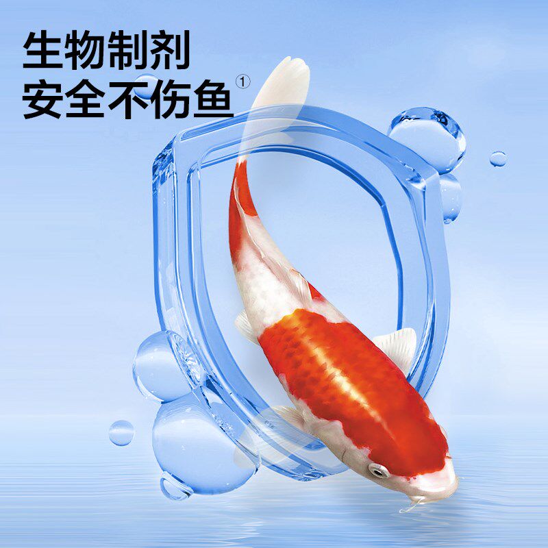 硝化细菌粉鱼缸用水质净化稳定剂养鱼活性消化细菌锦鲤鱼池净水剂