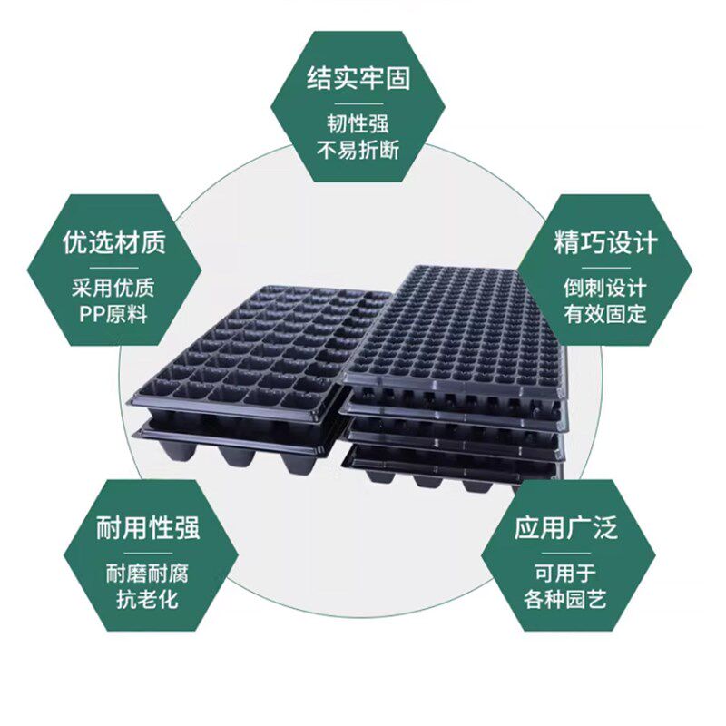 育苗盘托盘穴盘加厚西瓜玉米辣椒西红柿蔬菜幼苗培育盆扦插塑料杯