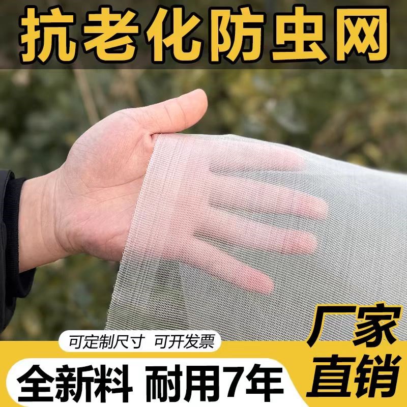 防虫网种菜专用80目40目加厚窗纱网罩大棚果树菜地防鸟网养殖围网