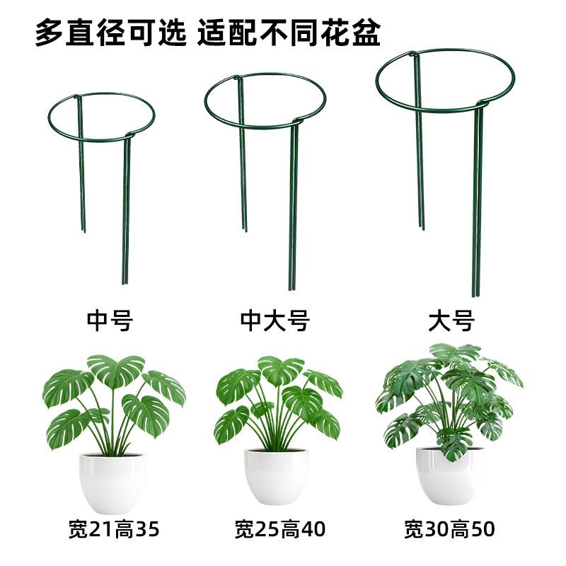 加粗花支撑架花架支撑杆爬藤植物固定架阳台花架稳固耐用防腐防锈图片