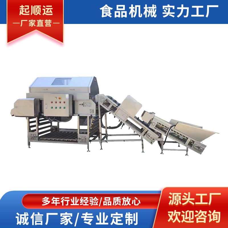 商用连续式洋葱去皮机 全自动紫薯洗泥机源头厂家白姜去泥清洗机