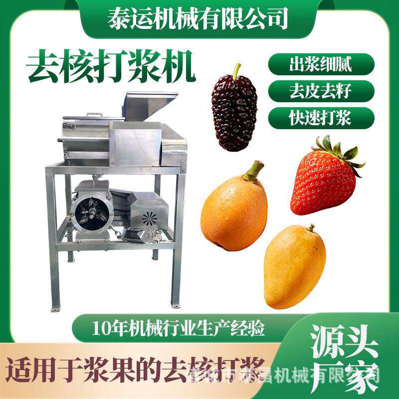 草莓去核打浆机桑葚打浆设备红枣去核打泥机新疆沙棘原浆加工设备