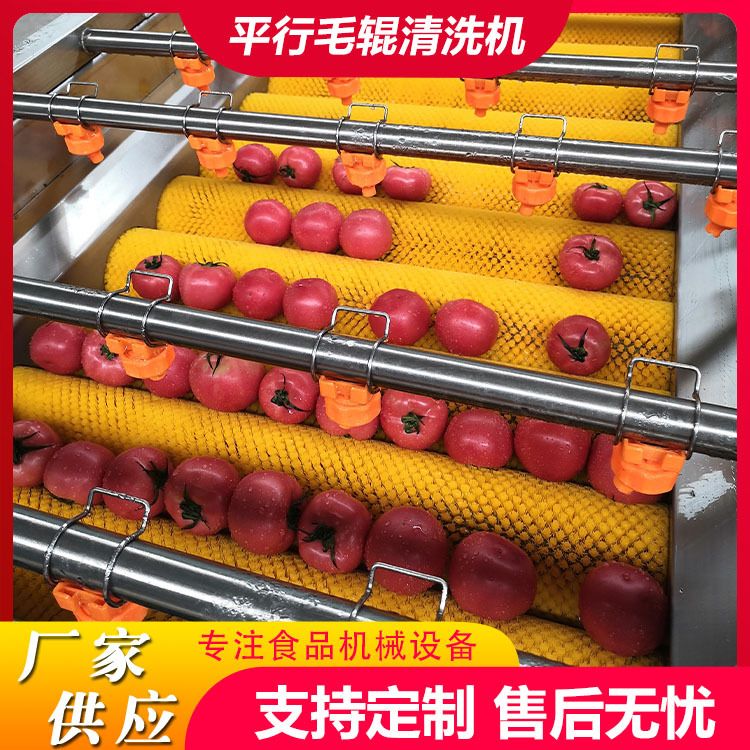 根茎类土豆毛辊清洗机 全自动毛刷红薯清洗设备毛辊清洗流水线