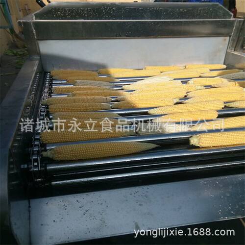 高压水流清洗设备  玉米加工流水线 玉米去须去杂机