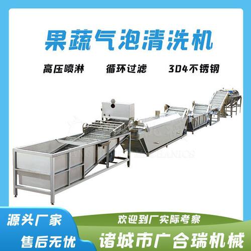蓝莓果蔬气泡清洗机 蔬菜净菜加工设备 中央厨房喷淋式洗菜机
