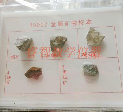 金属矿物标本49007铝矿黄铜矿锡石矿铁矿黑钨矿小学科学教学仪器