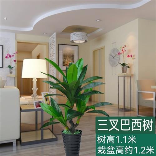 彷真凤尾葵珍珠葵假树室内客厅落地绿植物盆景盆栽装饰摆件发财树