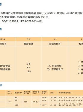 人民电器RT18-125X导轨式插入式熔断器座R017保险丝22*58熔芯125A