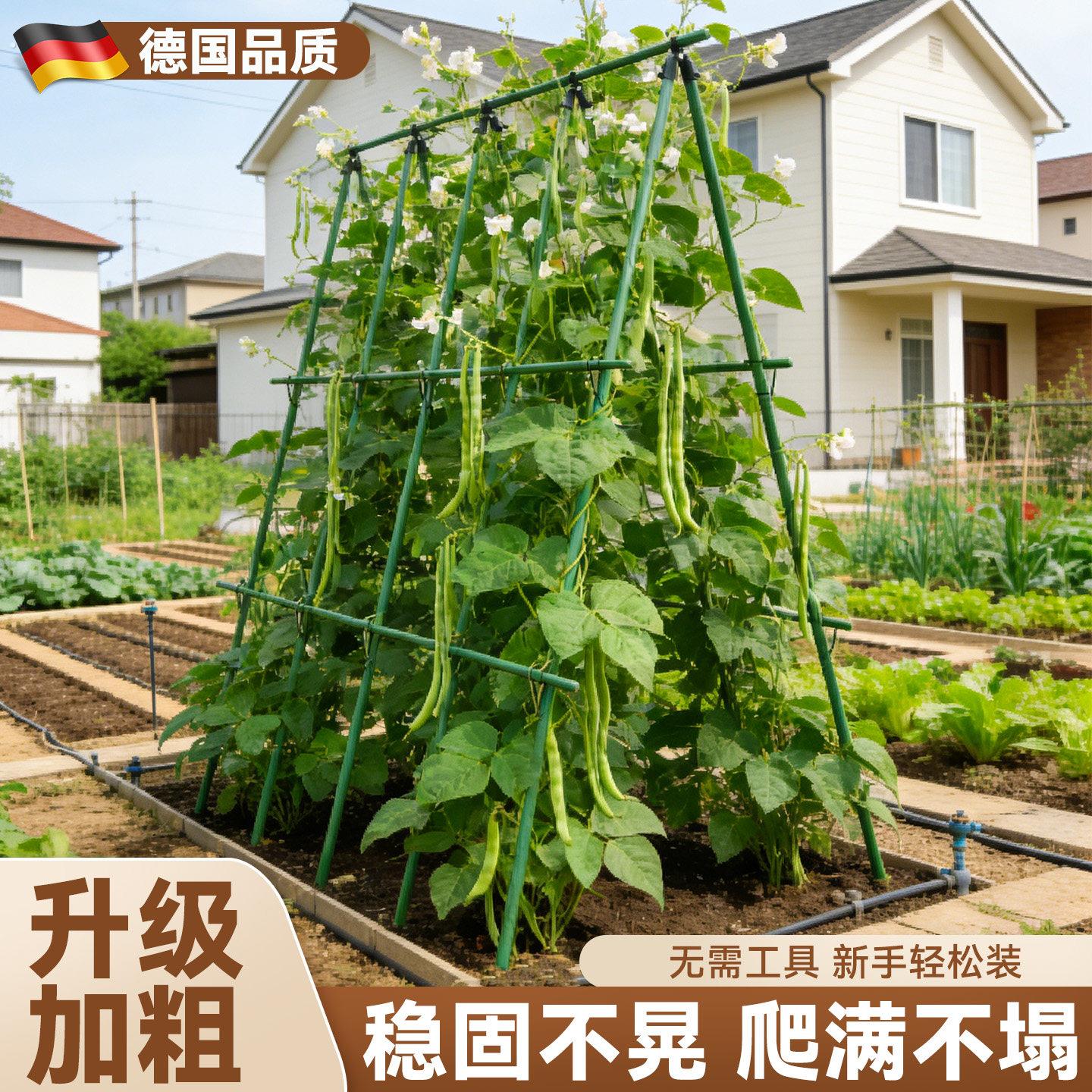 豆角爬藤架子黄瓜架丝瓜蔬菜搭棚支架葡萄架子庭院户外固定支撑杆