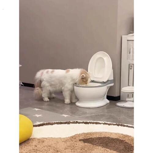 创意马桶猫碗大口径不易打翻宠物盆饮水器大容量彷真坐便器喝水