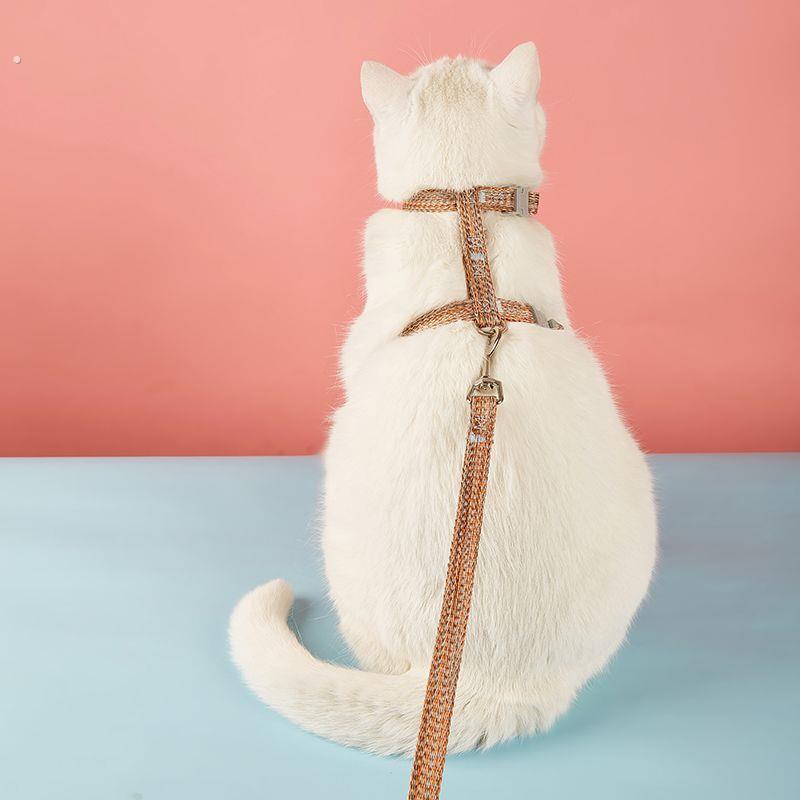 新款可调节宠物猫咪牵引绳套装小型犬狗绳狗狗工字胸抱婴袋宠物用