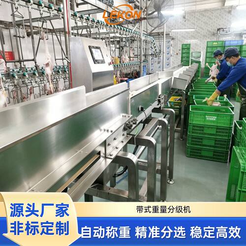 定制带式重量分选机 玉米自动称重分拣机 果蔬禽类鱼类重量分级机