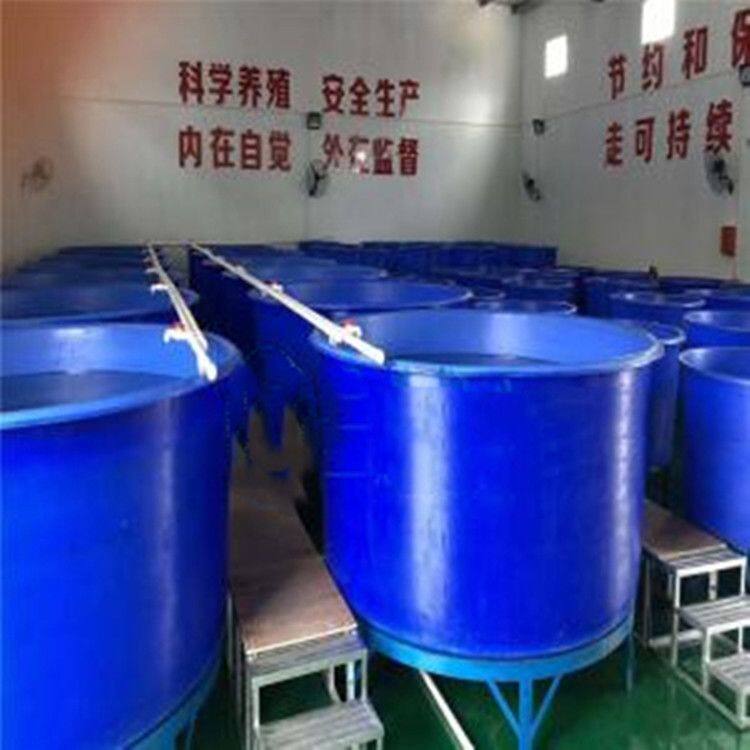 厂家供应水产养殖孵化桶 塑料养殖桶 丰年虫孵化桶 育苗孵化桶