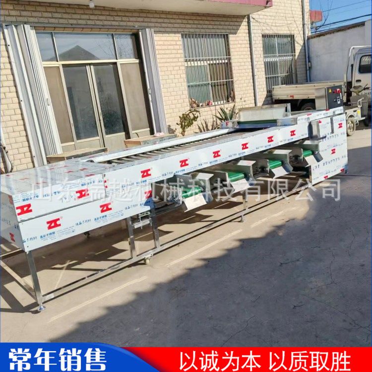 商用青梅李子分级筛选机工业贝贝南瓜筛选机多功能圣女果选果机