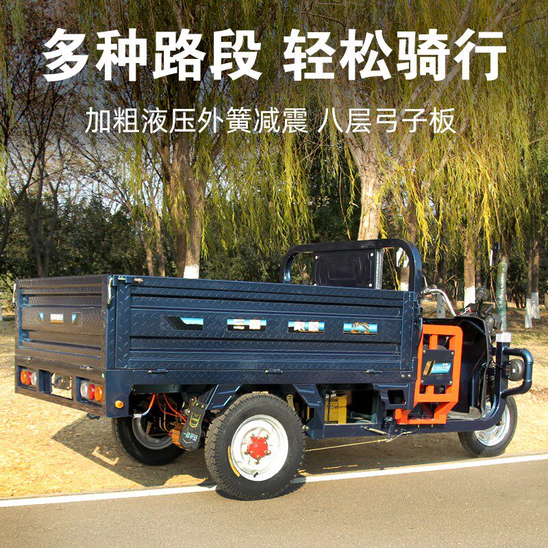 电动三轮车拉货载重王家用新款品牌厂家国标可上牌农用货运电瓶车