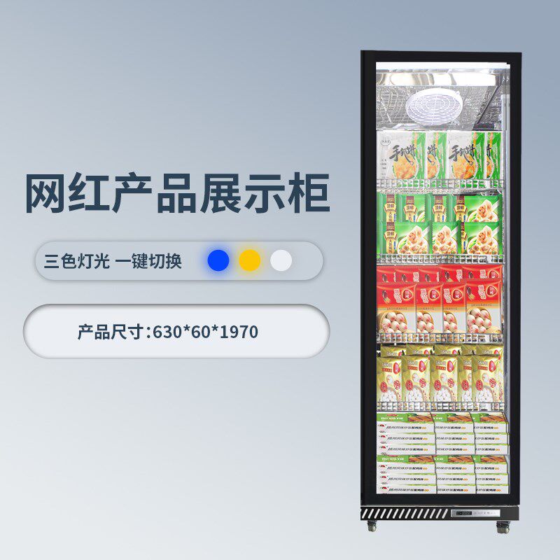 冷冻展示柜商用速冻柜急冻肉类冻品三门立式双门展示低温冰柜
