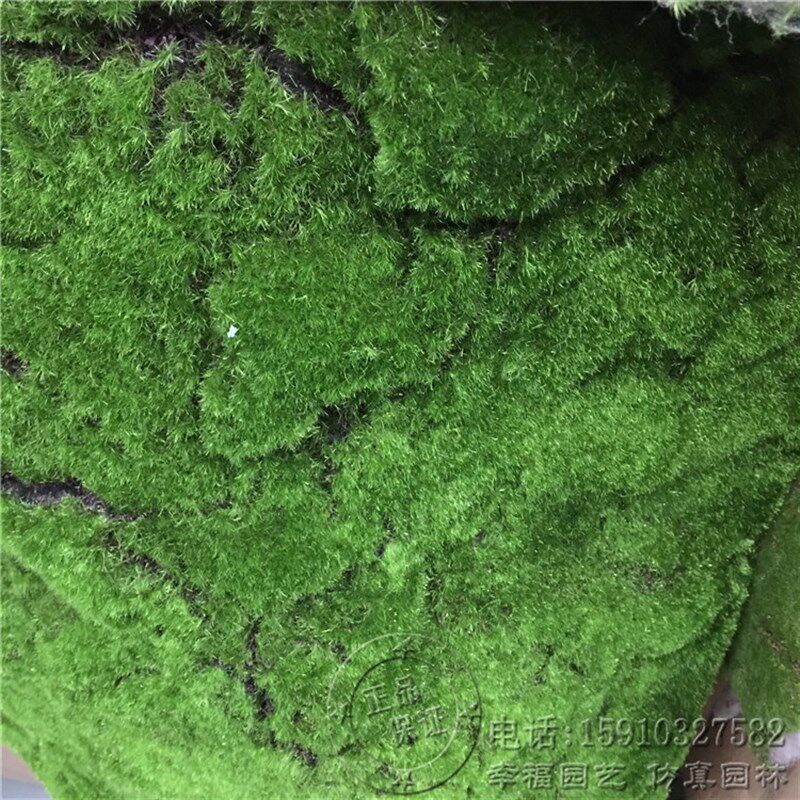 仿真苔藓软苔藓人造假苔藓 绿色植物墙场景橱窗装饰苔藓草皮草坪