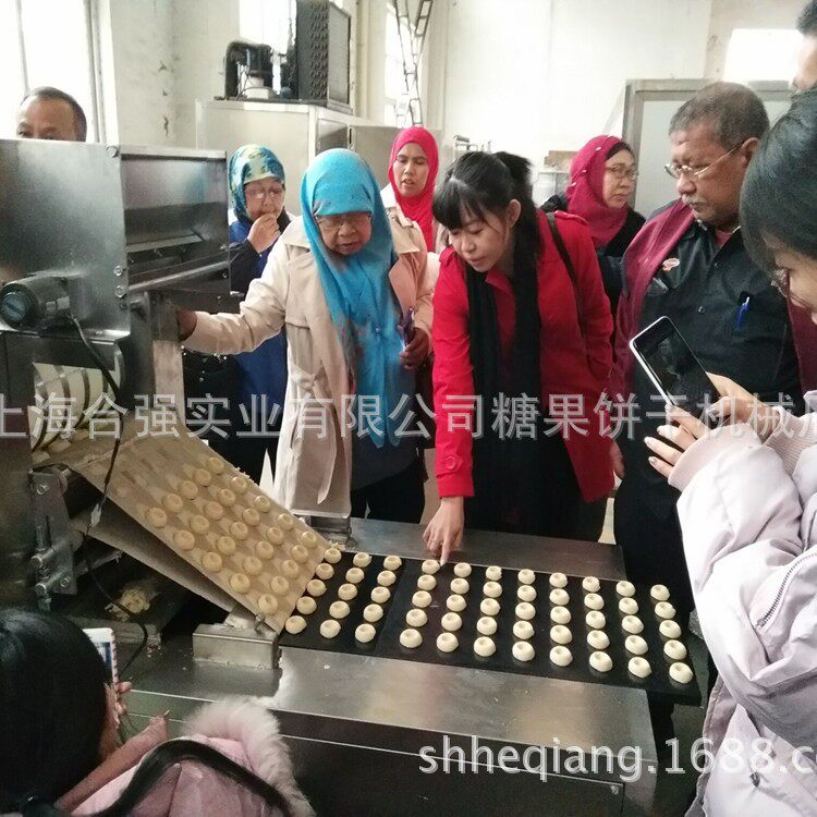 上海合强饼干机械厂 松仁桃酥饼干成型机 五谷糕点设备 提供配方