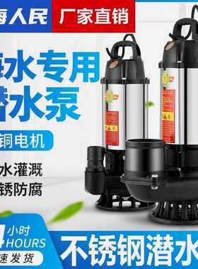德国进口上海人民潜水泵220V380V不锈钢清水泵农用大流量高扬程家