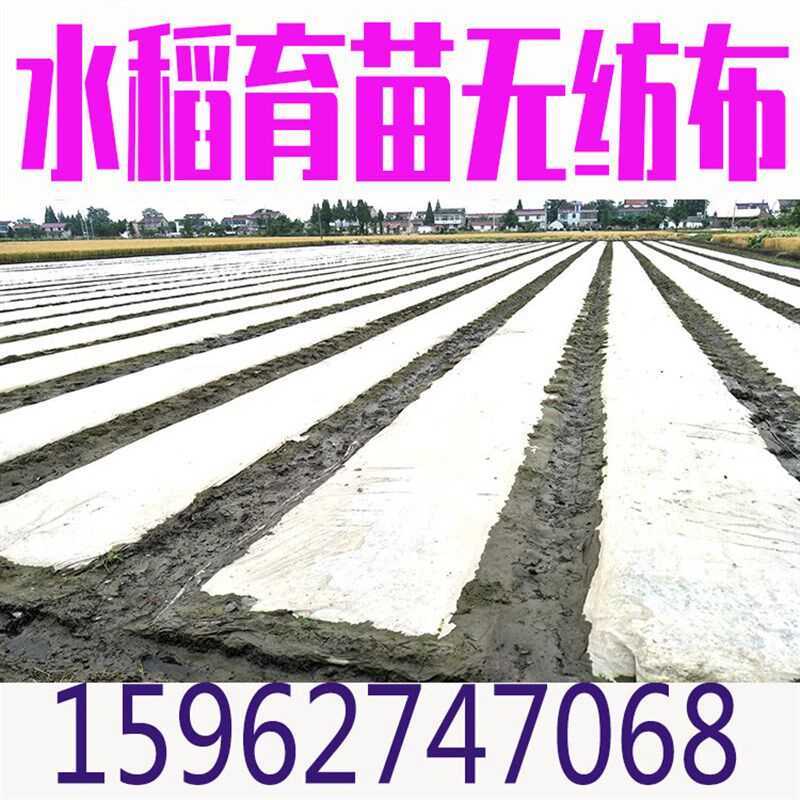 水稻育秧布农用无纺布花草树育苗抗老化土工布薄膜地膜透气懒汉膜